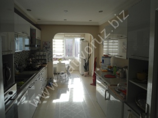 ilan foto