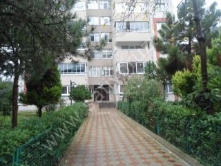 ilan foto